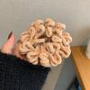 Elástico de Cabelo de Pelúcia Celebridade da Internet Feminino 2021 Novo Estilo Coreia do Sul Ins Simples Elegante Corda de Cabelo Elástico Alto