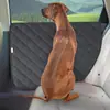 Protector de Puerta de Coche para Mascotas, Protector Lateral Anti-Rayones para Puerta de Coche, a Prueba de Rasguños, Manchas y Mordeduras para Puerta de Coche