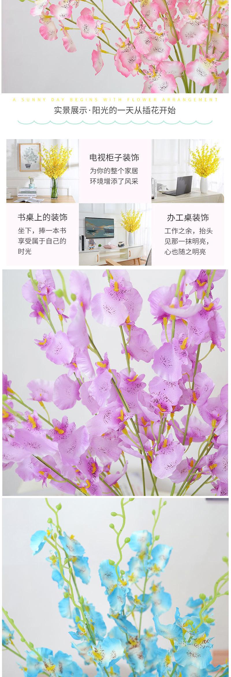 中把跳舞兰_06.jpg