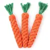 Túnel para Gato, Brinquedo para Gato, Varinha com Pena, Brinquedo de Autoentretenimento para Gato, Suprimentos para Animais de Estimação, Brinquedo para Gato, Brinquedo para Animal de Estimação