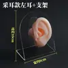 Modelo de ouvido silicone características faciais realistas material didático modelo display aparelho auditivo artificial orelha de prática limpeza de ouvido ensino adulto
