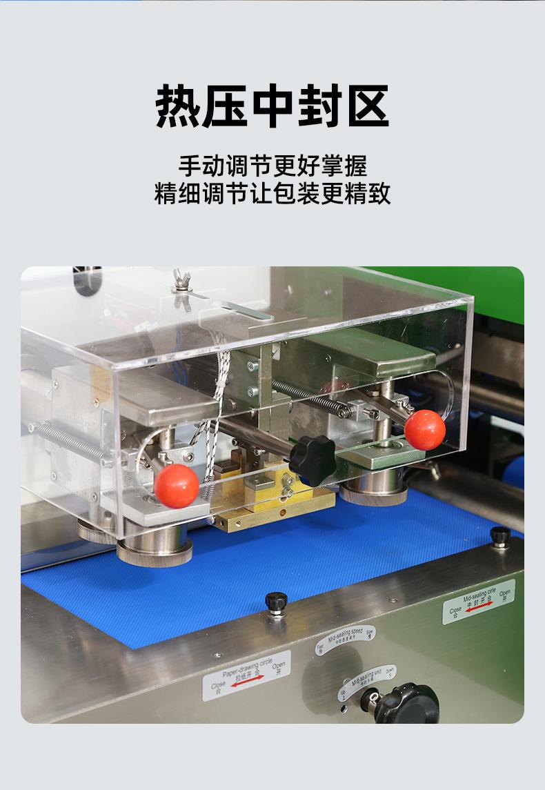 枕式包装机20240829_15.jpg