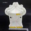 Novos Moldes para Vasos de Flores de Cimento, Produtos de Cimento Estilo Europeu, Grades, Enfeites de Pombo, Beautificação de Vilas em Tamanho Personalizado