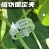 Clips de Fijación para Plantas, Sujetadores para Enredaderas, Varillas de Soporte para Trepar Plántulas, Clips Colgantes para Plántulas de Jardinería