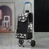 Carrito de Compras de Acero Inoxidable, Carrito Trepador de Escaleras, Carrito Grande Plegable para el Hogar para Personas Mayores, Carrito de Arrastre Manual