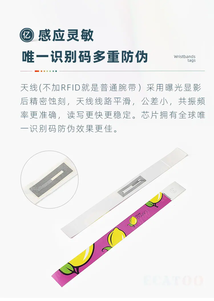 PP纸4.jpg