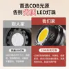 Luz de relleno profesional de 100W para transmisiones en vivo, ideal para vlogs de belleza, transmisiones en vivo, iluminación COB, fotografía y retratos