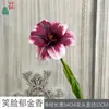 Materiales de Flores Rojas de Estilo Chino de 26 Años, Decoración de Arreglos Florales para Escena de Boda Festiva, Flores de Seda, Decoración Suave Floral Suministro Directo de Fábrica