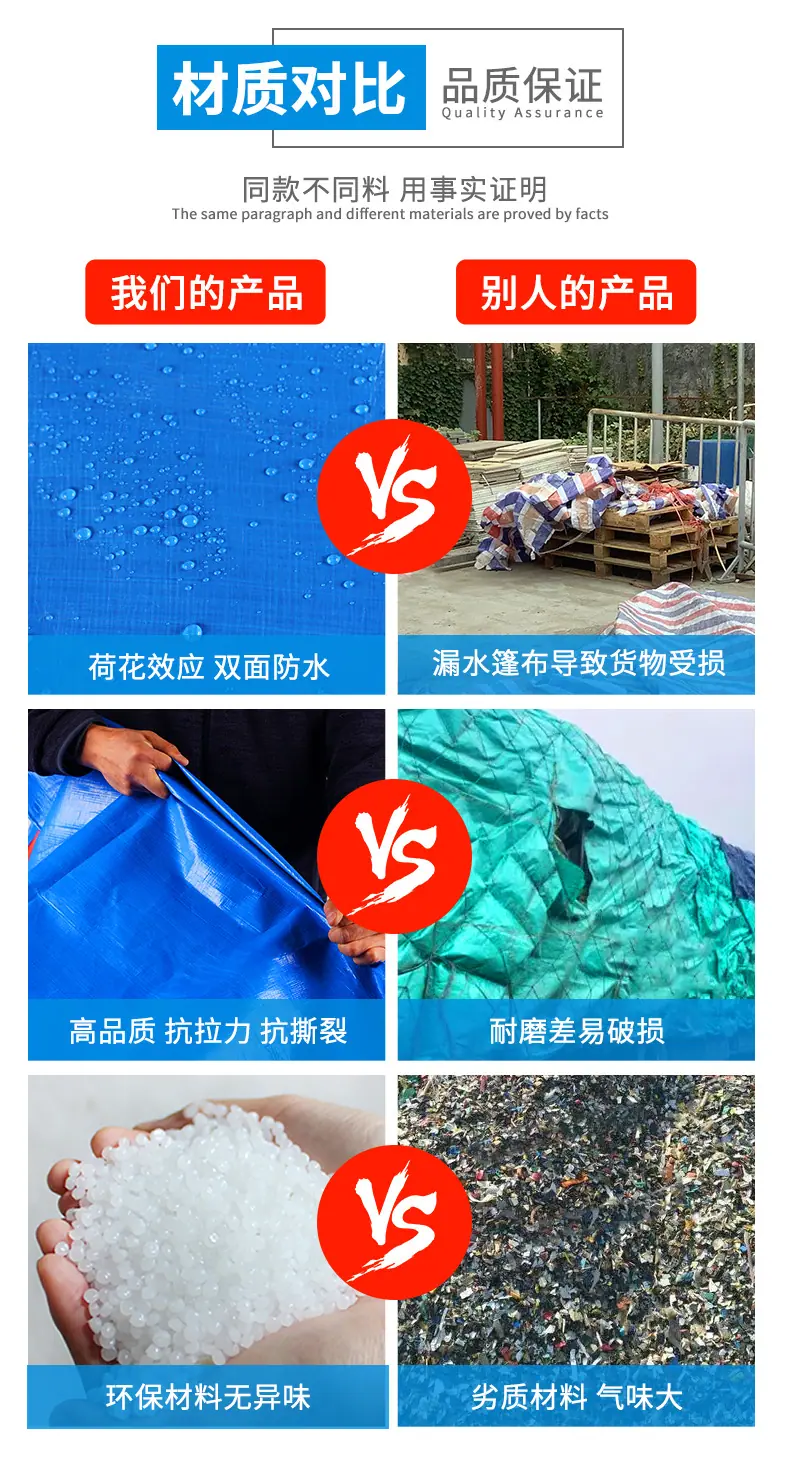 蓝桔_10.jpg