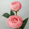 Flor artificial camélia Flor falsa europeia Rosa-chá Lulian Flor de mesa Decoração de casa Casamento Flor falsa Outlet de fábrica