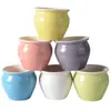 Conjunto de Vasos de Cerâmica para Suculentas, Simples e Estiloso, Estilo Fresco Internacional, Vasos Redondos Coloridos para Plantas de Varanda