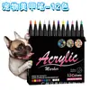 Marcador de Uñas Artísticas de Punta Suave para TikTok Transfronterizo para Pintar, Dibujar Bocetos, Dibujo a Mano Alzada, Contornear, Pluma de Arte para Uñas de Mascotas DIY, Pintura para Mascotas