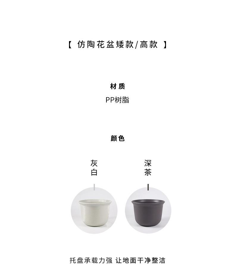 爱丽丝花盆_02.jpg