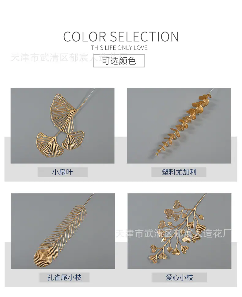 色卡.jpg