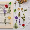 Pegatinas sencillas de plantas y flores para decoración de diario, material PET, impermeables, materiales para diario DIY, papelería para arte collage