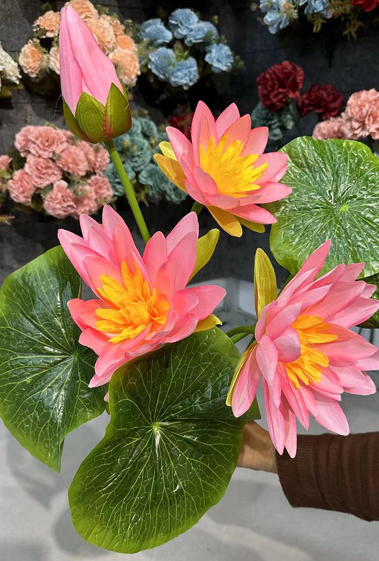 3花1蕾富贵荷花- -粉色