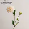 Dalia de Doble Cabeza Estilo Europeo Flores Artificiales Estilo Ins Fabricante Decoración del Hogar Boda Venta al por Mayor Flores Falsas Transfronterizo