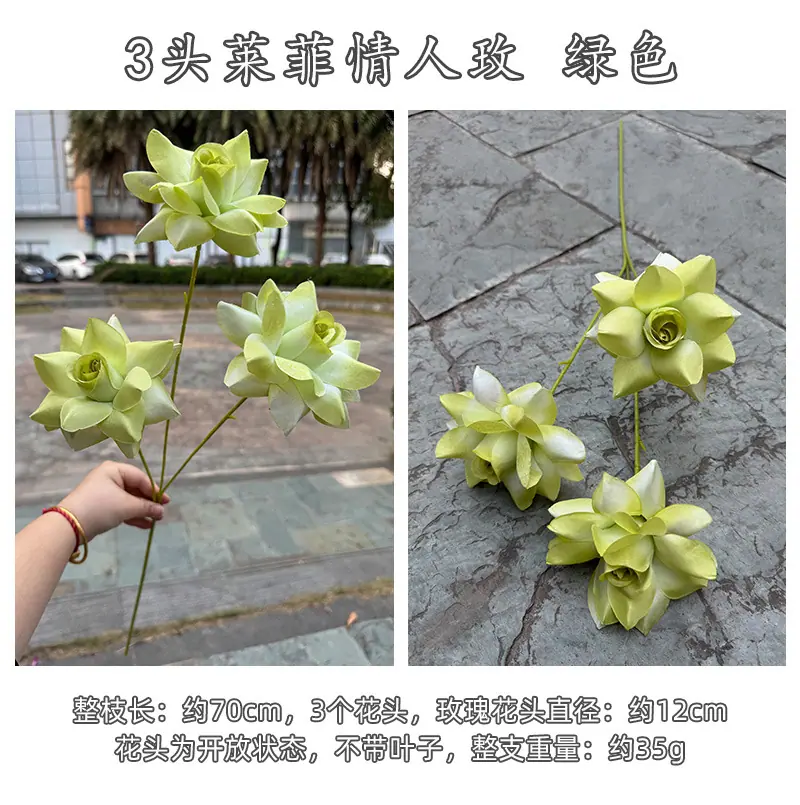3头莱菲情人玫-详情_18.jpg