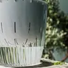 Maceta Automática de Riego Propio, Contenedor Hidropónico Transparente, Maceta de Plástico para Plantas, Jarrón de Vidrio para Plantas Verdes