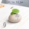 Mini Imitação de Pedra Flor Cerâmica Pequeno Vaso Simples Casa Zen Ornamentos Artesanato Criativo Hidropônico Bacia