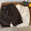Calças Casuais de Trabalho para Meninos e Meninas, Estilo Primavera e Outono, Algodão, Calças Largas Infantis, Cor Sólida, Estilo Básico, Calças Compridas para Bebês, 26 Outono