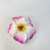 Cabeças de Flores de Hibisco Artificiais Mais Vendidas no Exterior de Fabricantes, Flores Havaianas em Gradiente Multicor, Adereços para Fotos de Férias na Praia, Acessórios de Cabeça com Flores
