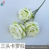 Flor de Rosa Lunar de Tres Cabezas Rama Única Rosa Arcoíris Mar de Flores Rincón de Check-in de Celebridades de Internet Decoración de Paisajismo de Área Escénica Venta al por Mayor
