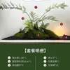 Paisajismo con Planta Verde Artificial de Helecho Cabeza de Mono de Seda Dorada, Planta Simulada Estilo Chino para Decoración de Paisaje Interior, Planta Artificial en Maceta