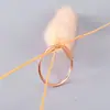 J66 Anel Elegante Personalidade Simples Corpo Nu Retângulo Pequeno Aço Titânio Ouro Rosa 18K Estilo Europeu e Americano