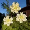 Begonia Artificial de 3 Cabezas Impresa en 3D Decoración de Salón de Bodas Arreglo Floral Suave Guía de Camino para Piso Interior Flores Artificiales al por Mayor