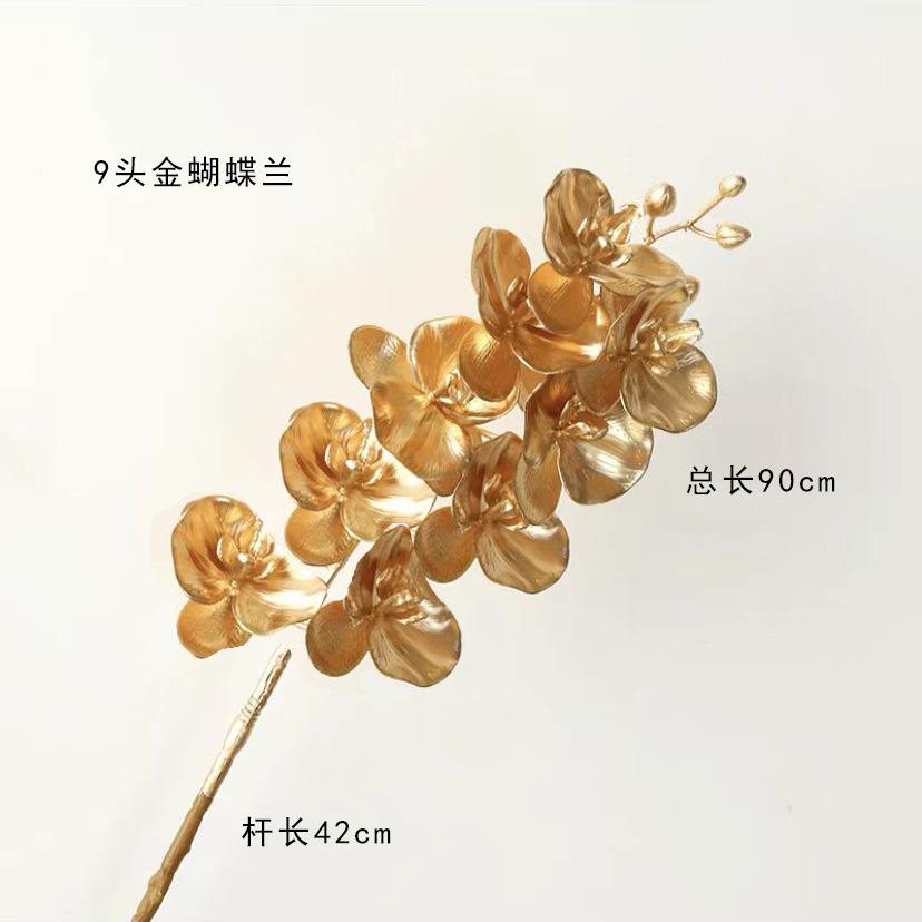 57d338747523cb5a388a56bd86adbb