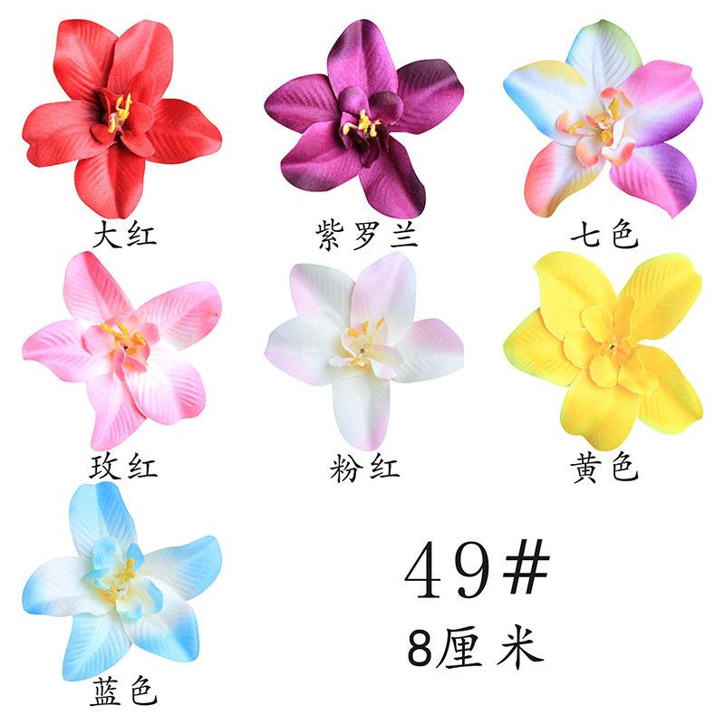 49.jpg