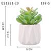 Planta Suculenta Simulada Macetas, Decoración de Muebles de Oficina Nórdicos, Nuevas Suculentas Bonsái Simuladas de Alta Calidad para el Hogar