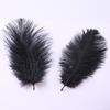 Accesorios de ropa de plumas de avestruz de colores materiales de decoración de bodas accesorios de plumas hechos a mano DIY decoración del hogar