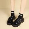 Moda francesa salto grosso sapatos de couro pequenos mulheres 2024 novo outono all-match saia sapatos mary jane mulheres