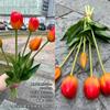 Nuevos tulipanes blancos fabricantes de comercio exterior 5 tacto de goma suave tulipán boda mano decoración del hogar flores falsas