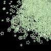 Lantejoulas Foscas Frescas e Transparentes em Formato de Flores de Ameixeira e Estrelas de Cinco Pontas, Adesivos Epóxi para Maquiagem dos Olhos, Materiais DIY para Arte de Unhas
