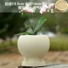 Vaso de Cerâmica para Flores com Prato, Estilo Ins de Luxo Leve, Diâmetro Grande, Estilo Creme, para Orquídeas e Suculentas, Liquidação