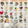 Fruta Fixa Natural Planta Fruta Casca Espécime Material Decoração Flores Secas Fatias Jardim de Infância DIY Pacote de Material de Natal