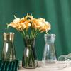 Vaso de Vidro Fresco Estilo Europeu decoração flor seca sala de estar transparente moderno simples design ins ornamento pequenos ornamentos