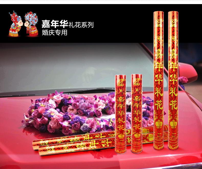 嘉年华综合_04