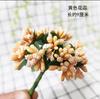 Decoração de guirlanda de Natal anel de rattan para casamento DIY feito à mão trançado pinha flor seca rattan anel de rattan para jardim de infância material