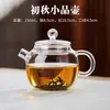 Envío directo tetera para una persona juego de té Kung Fu olla para preparar té de vidrio de borosilicato alto tetera mini personal pequeña transparente