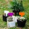 Etiqueta de plástico en forma de T para plantas hortícolas verdes, grabable, resistente al agua, con flores carnosas, engrosada, con logotipo para plantas en maceta.