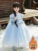 Vestido Princesa Elsa para Meninas, Vestido de Renda Frozen, Vestido Azul de Manga Longa, Vestido de Aniversário Estilo Sonhador