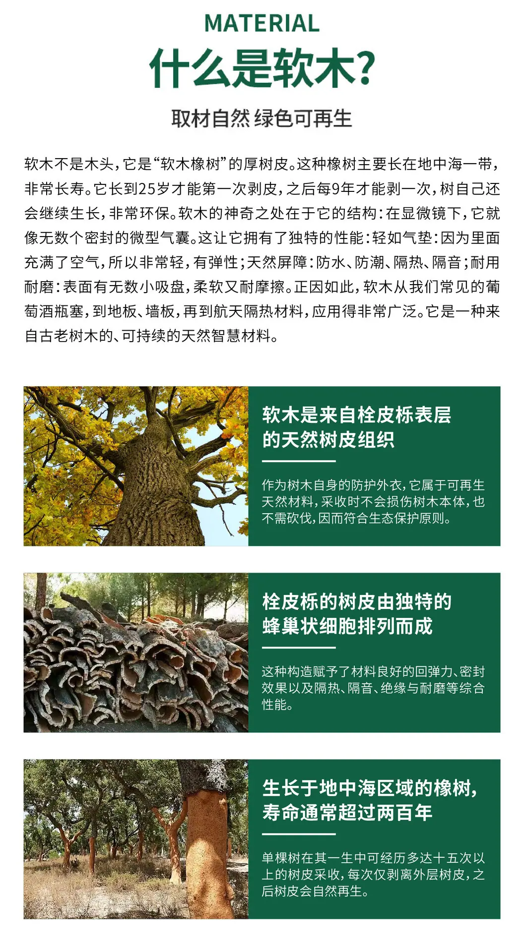2025.12.10软木树皮详情-03.jpg