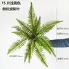 Planta artificial samambaia persa parede paisagismo material floral Pteris vittata engenharia de jardim samambaia verde falsa