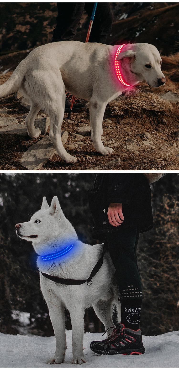LED点光纤宠物项圈_08.jpg