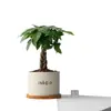 Árbol de Dinero de las Cinco Bendiciones Planta Pequeña en Maceta Planta de Escritorio para Oficina Maceta de Balcón Planta Verde de Interior Planta con Flor en Maceta Venta al por Mayor
