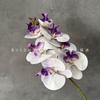 Orquídea Borboleta de 7 Cabeças para Decoração de Casamento, Adereços de Fotografia, Arranjo de Flores, Decoração de Móveis, Flores Artificiais, Flores de Seda, Mais de 30 Séries de Cores
